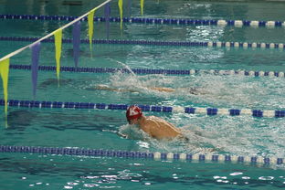 乐鱼电竞在线平台登录入口-游泳世锦赛：中国队连续夺金，燃起无限希望！，游泳世锦赛冠军名单