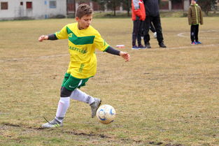 乐鱼网官网进入-VAR的利弊:它真的让比赛更公平了吗?,var和var